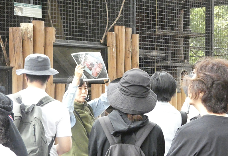 ガイドツアー