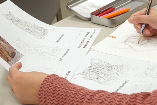 Il est assis sur un bureau, tenant des documents dans sa main gauche et dessinant un chat sauvage avec un crayon dans sa main droite.