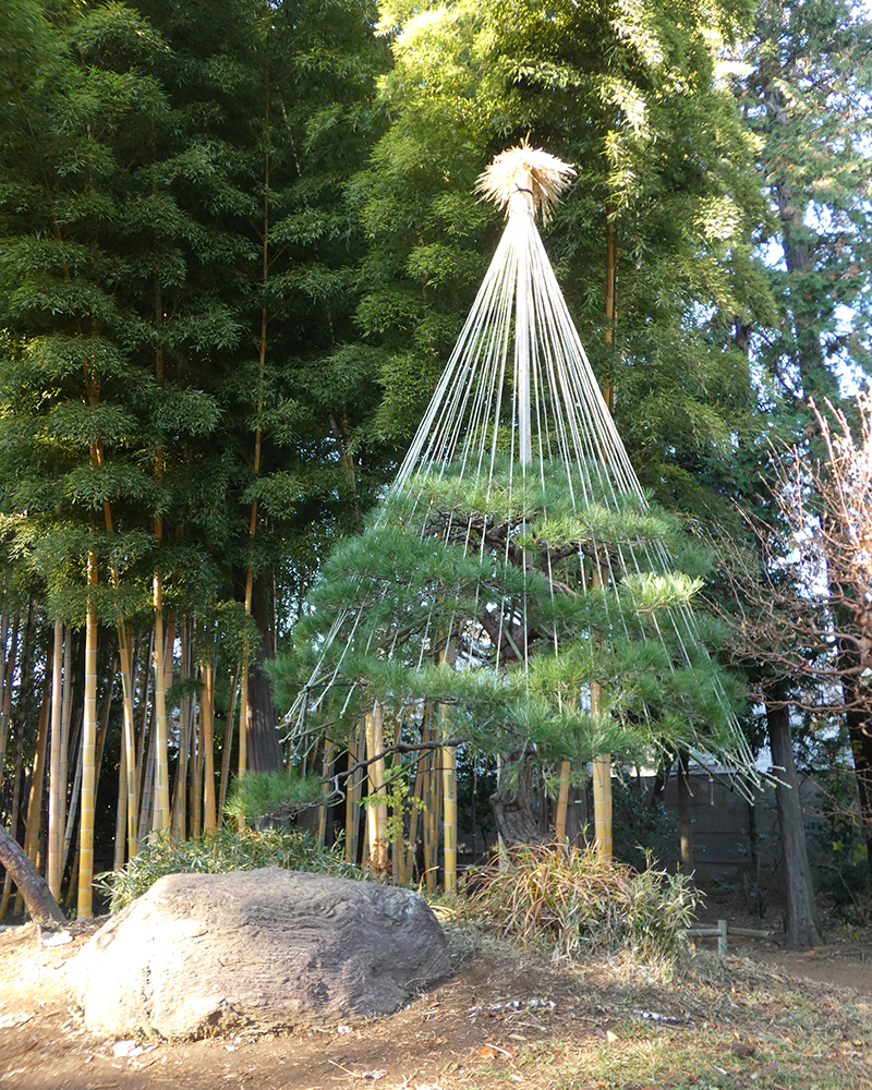Yukitsuri
