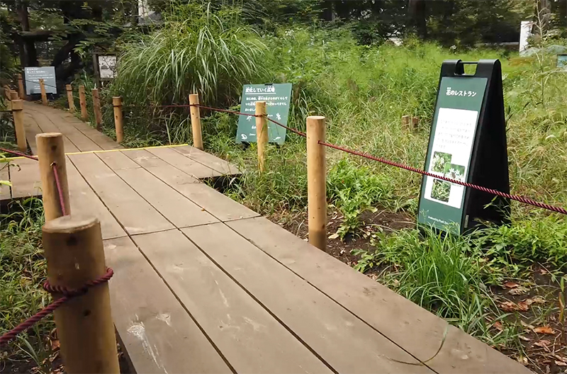 木道の脇に張られたロープ柵