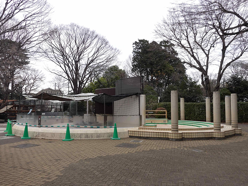 ペンギン舎とジャブジャブ池