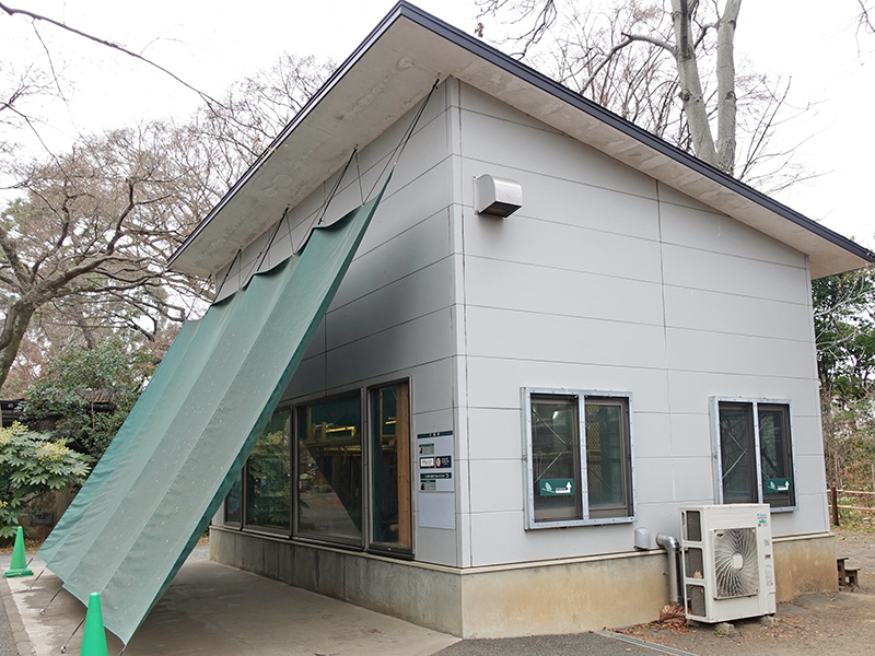 オオコウモリ舎