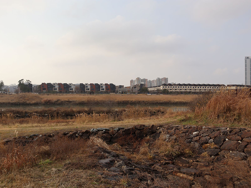 韓国のユーラシアカワウソ生息地