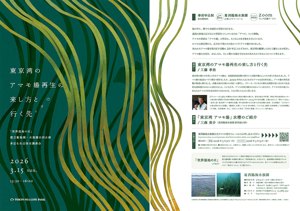 「東京湾のアマモ場再生の来し方と行く先」チラシ