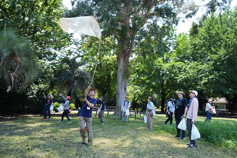 屋外で昆虫採集をする人々。成人男性の倍以上の長さの虫取り網を使い、高いところにいる虫を捕まえている