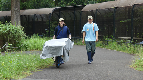 実習生の受け入れ