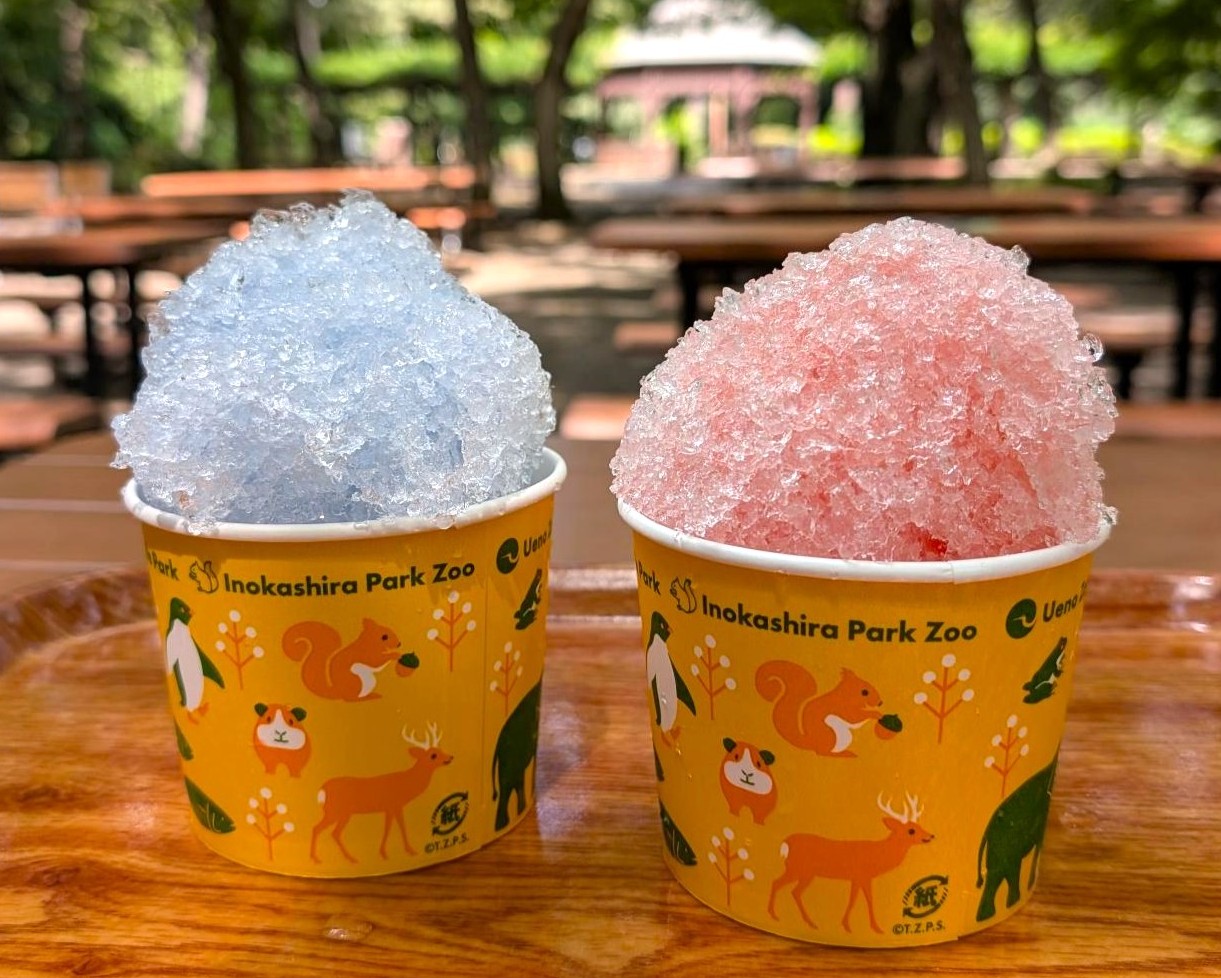 Shaved ice (Strawberry, Blue Hawaii)