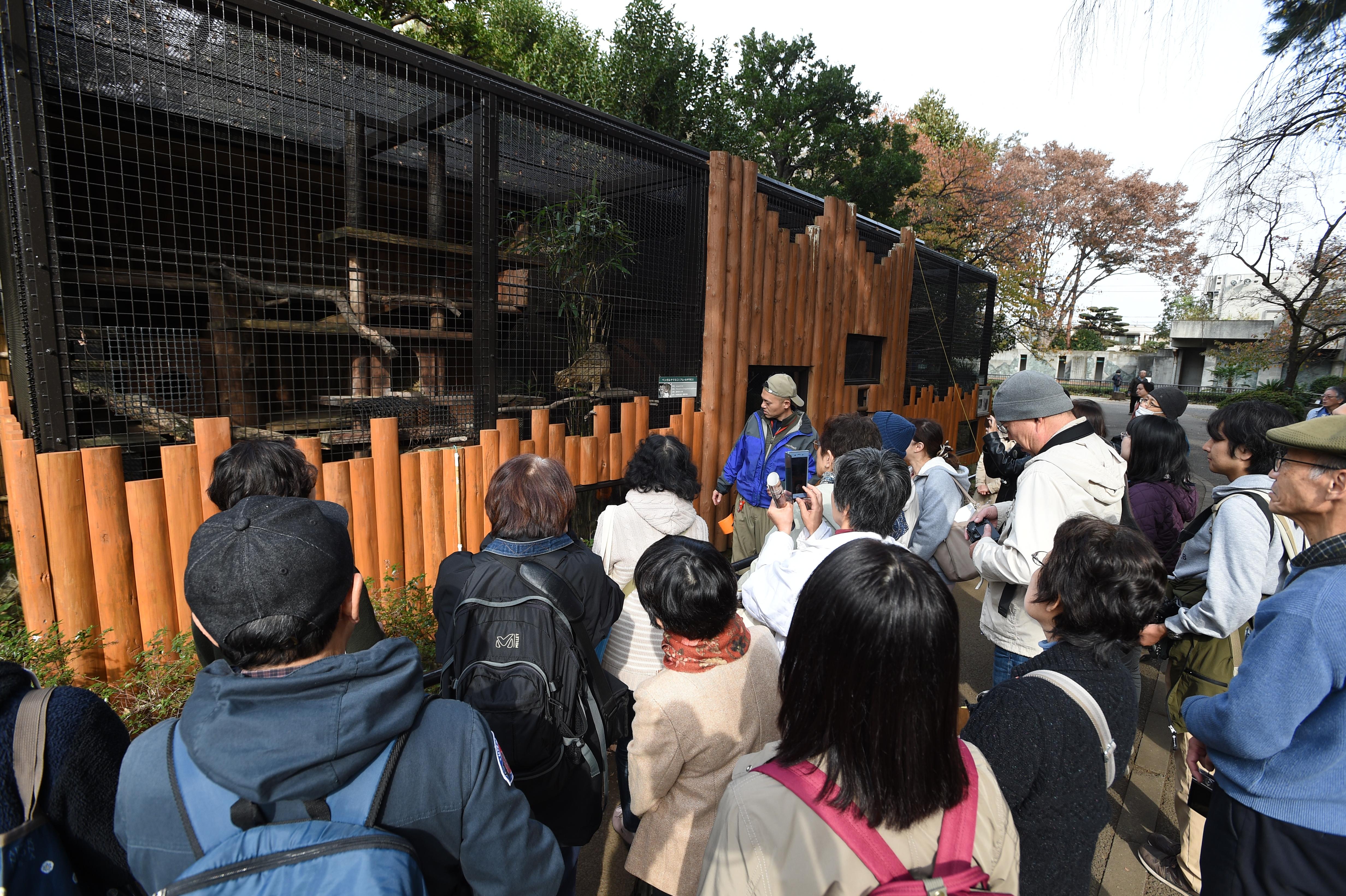 ヤマネコ舎のガイド