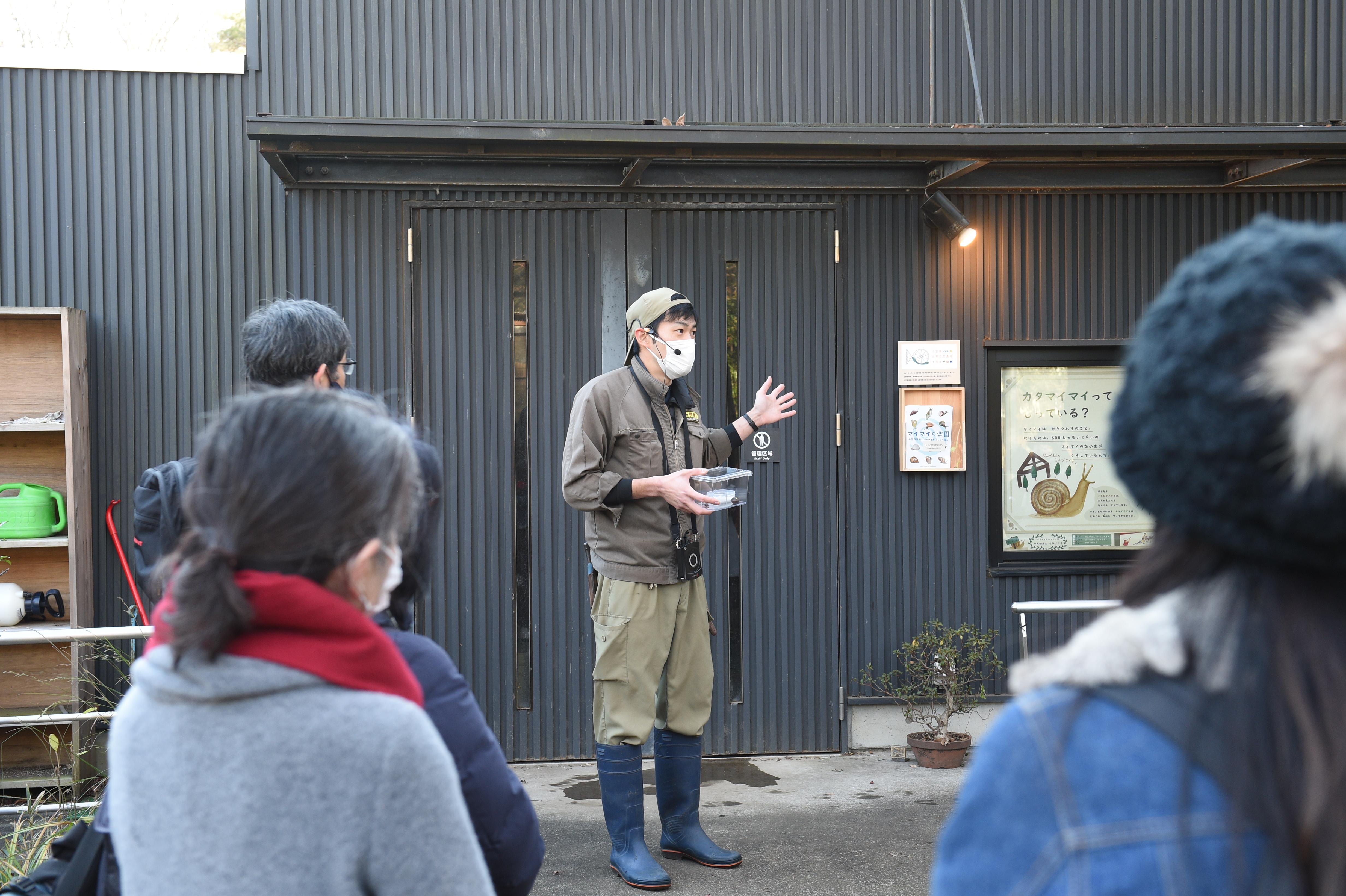 カタマイマイ見学