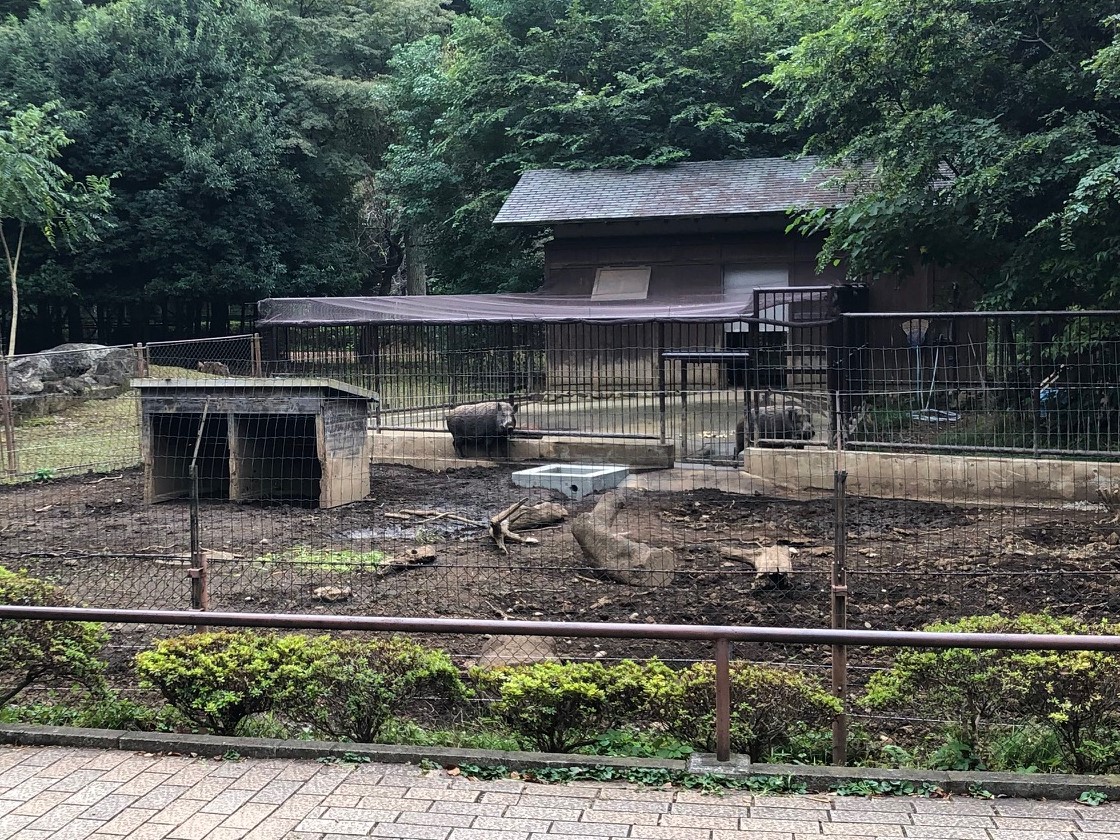 モーニングツアー