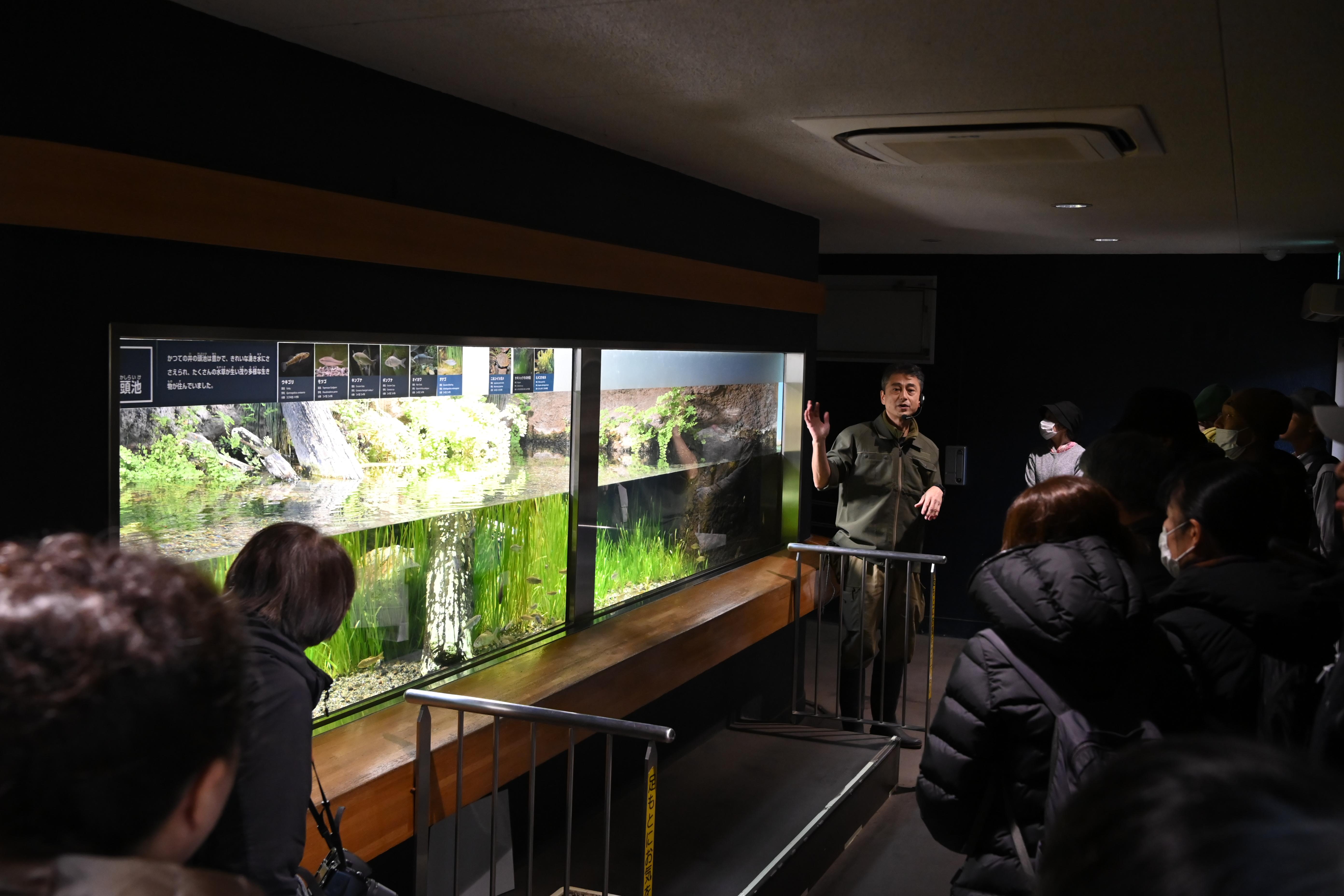 水生物館の水槽