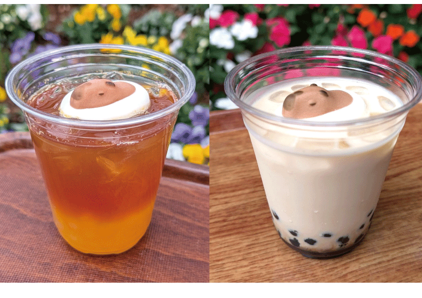 カピバラマシュマロのタピオカドリンク マンゴーティー・黒糖ミルク