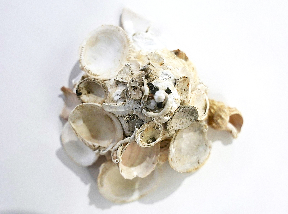 上から見たようす