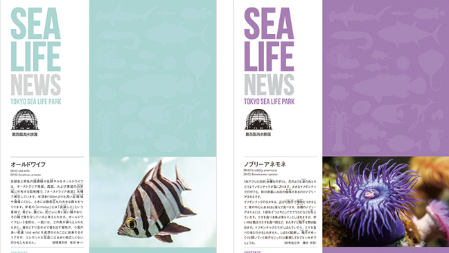 Portada de SEA LIFE NEWS