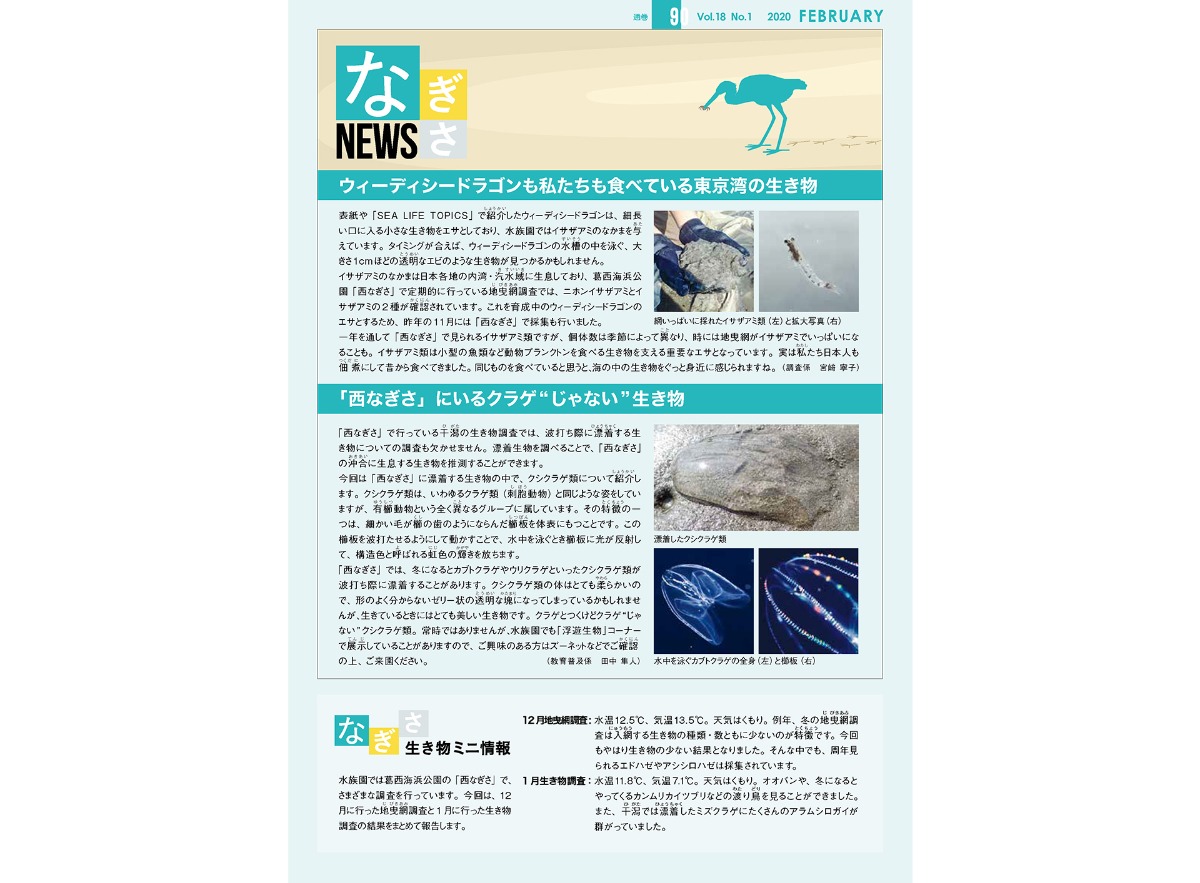 なぎさNEWS