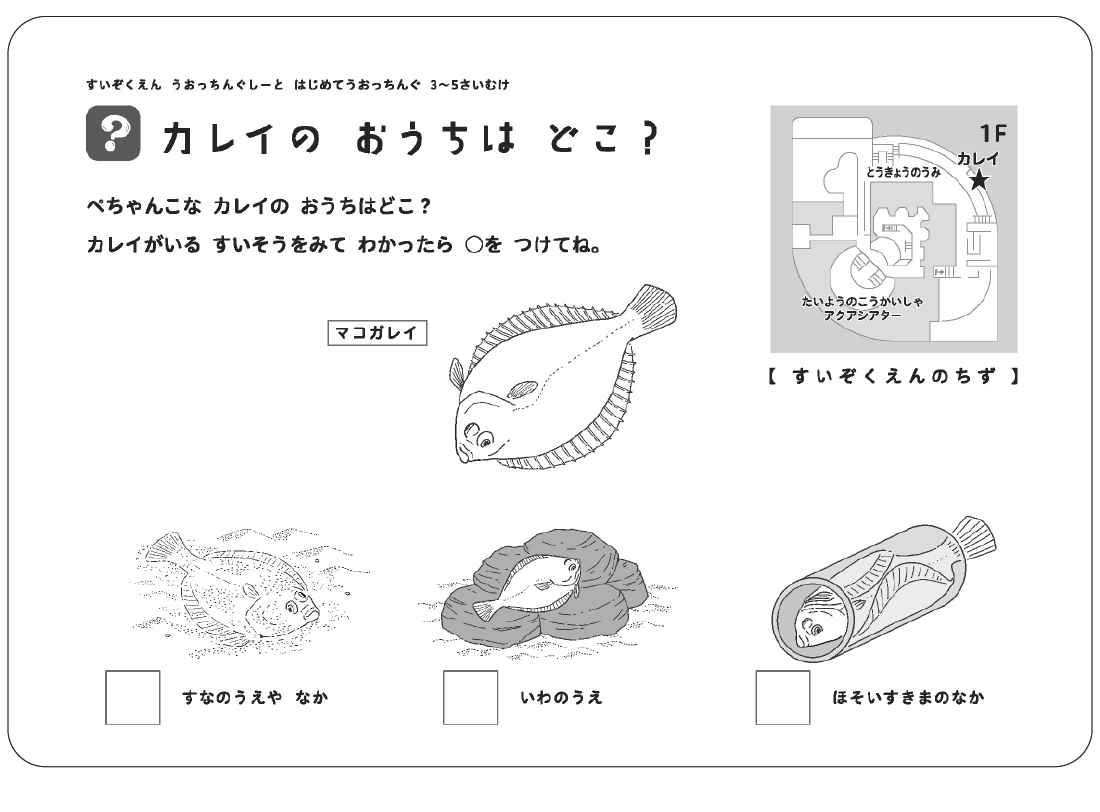 カレイのおうちはどこ？