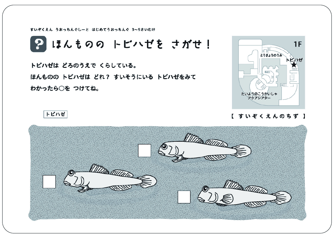 ほんもののトビハゼをさがせ！