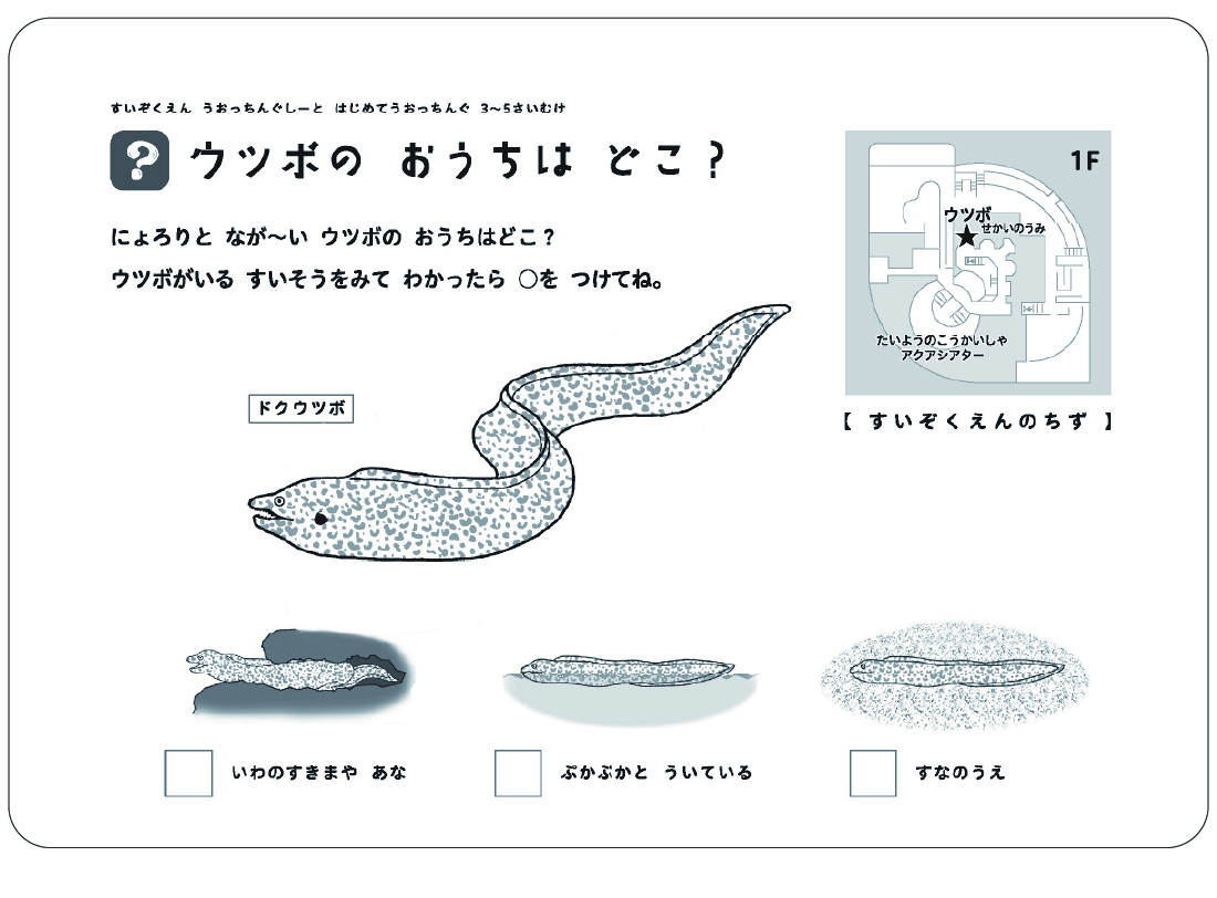 ウツボのおうちはどこ？