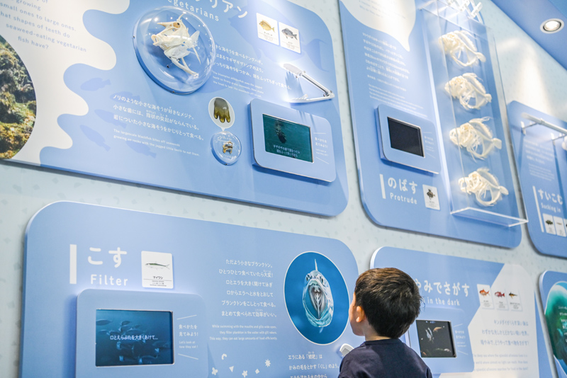 映像や標本などで「食べる」を楽しく学べる