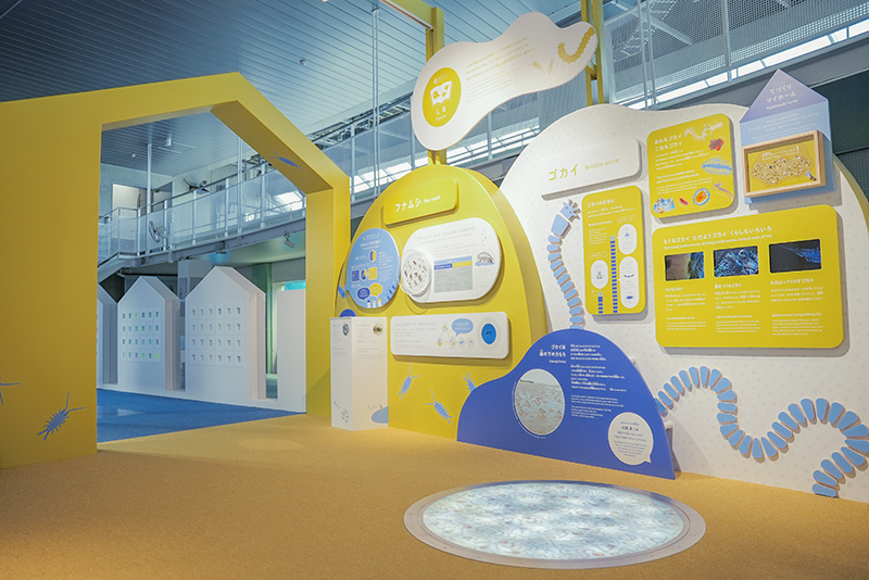 「ゾゾゾ」な生き物もじつはおもしろい