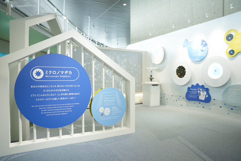 目に見えない小さな生き物にも注目
