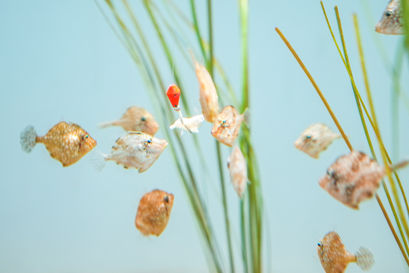 「食べる」を間近で観察