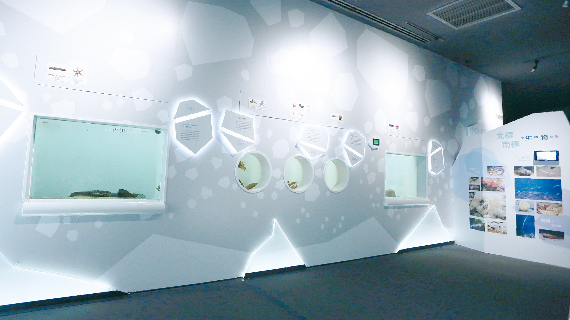 北極・南極の海