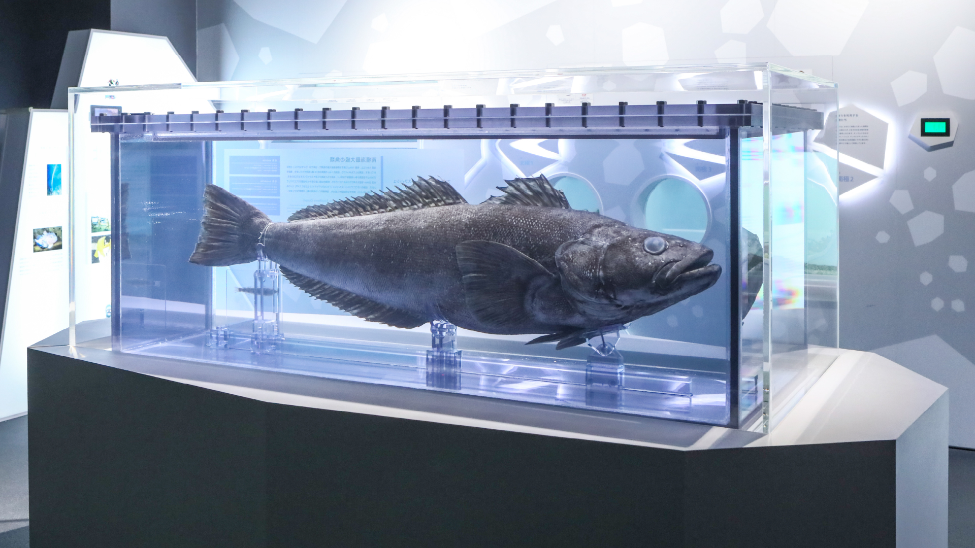 北極・南極の海