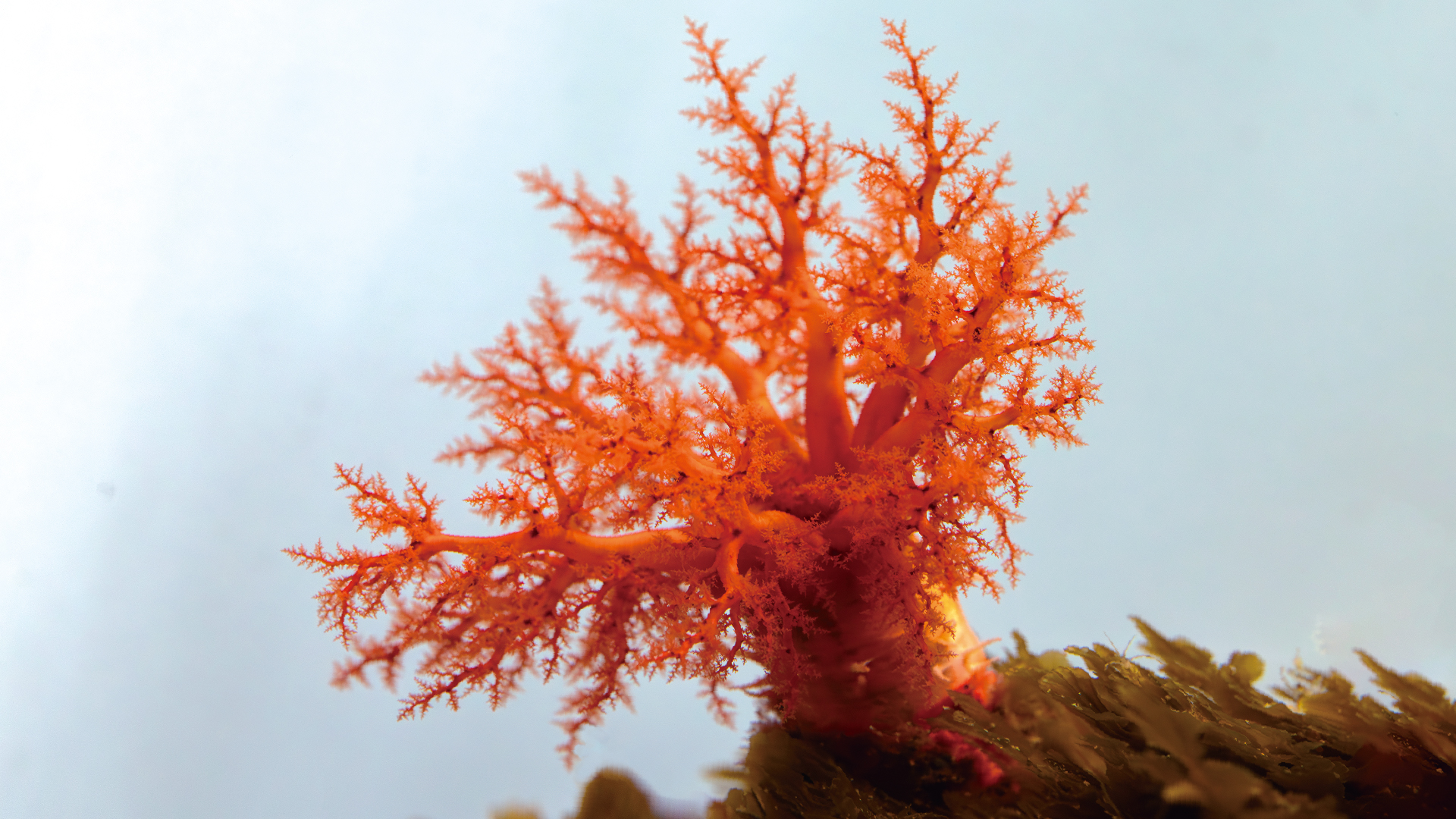 北極・南極の海