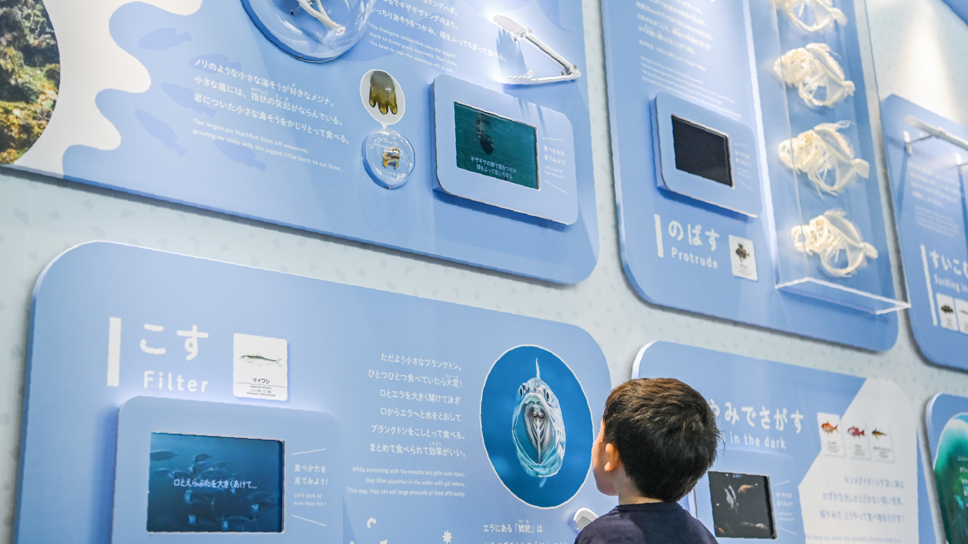 イキモノマヂカ