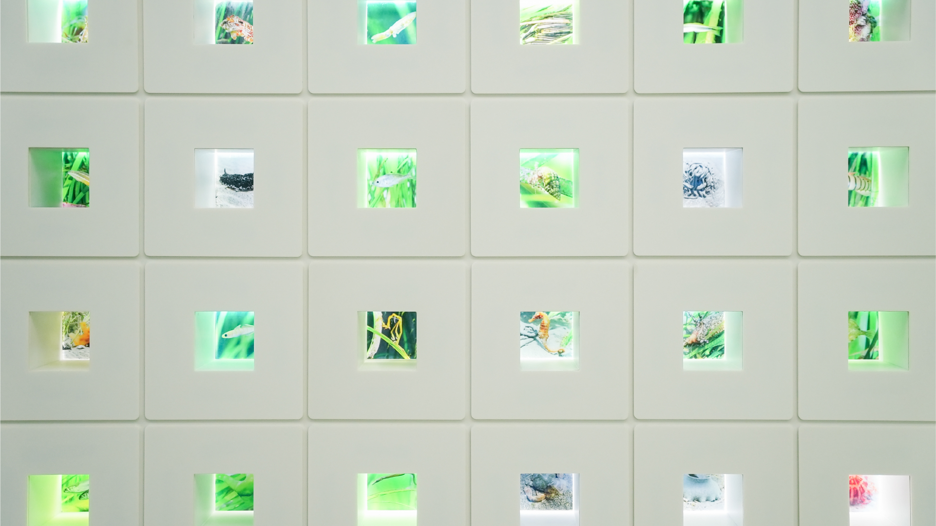 イキモノマヂカ