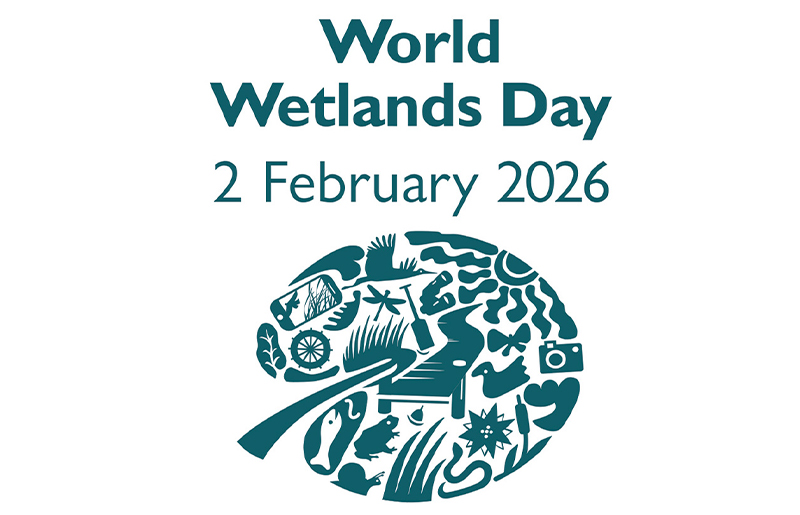 世界湿地の日のロゴ