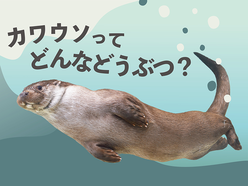 パネル展イメージ