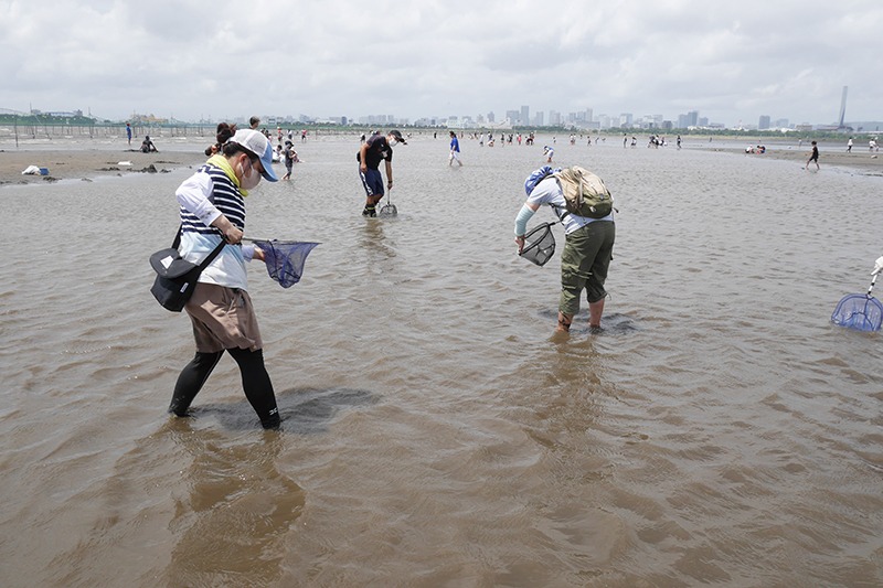 網を使い、干潟で生きものを採集する人々。干潟は足首くらいの浅さで茶色く濁っている