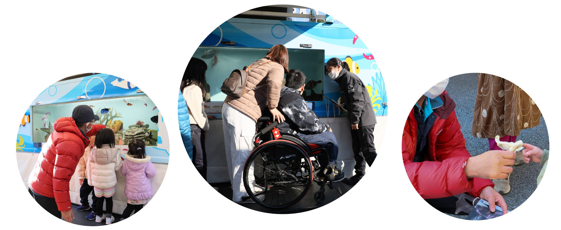 移動水族館実施風景写真