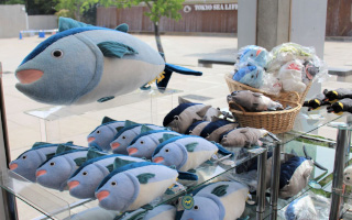 アクアスケープ