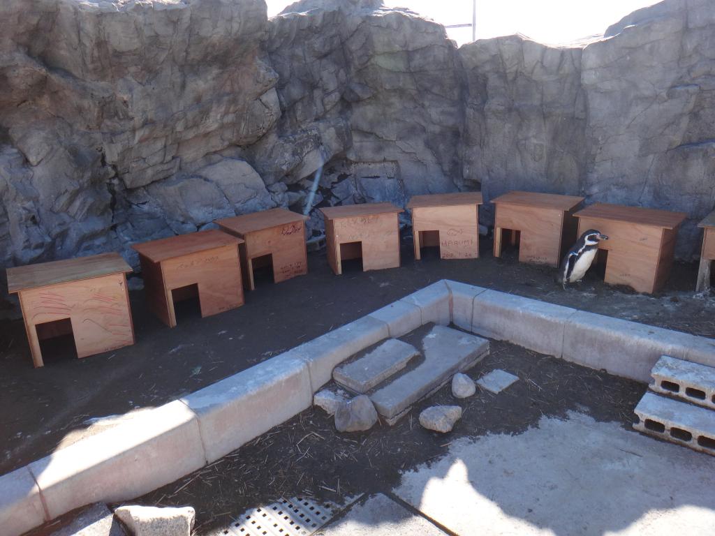 ペンギン巣箱