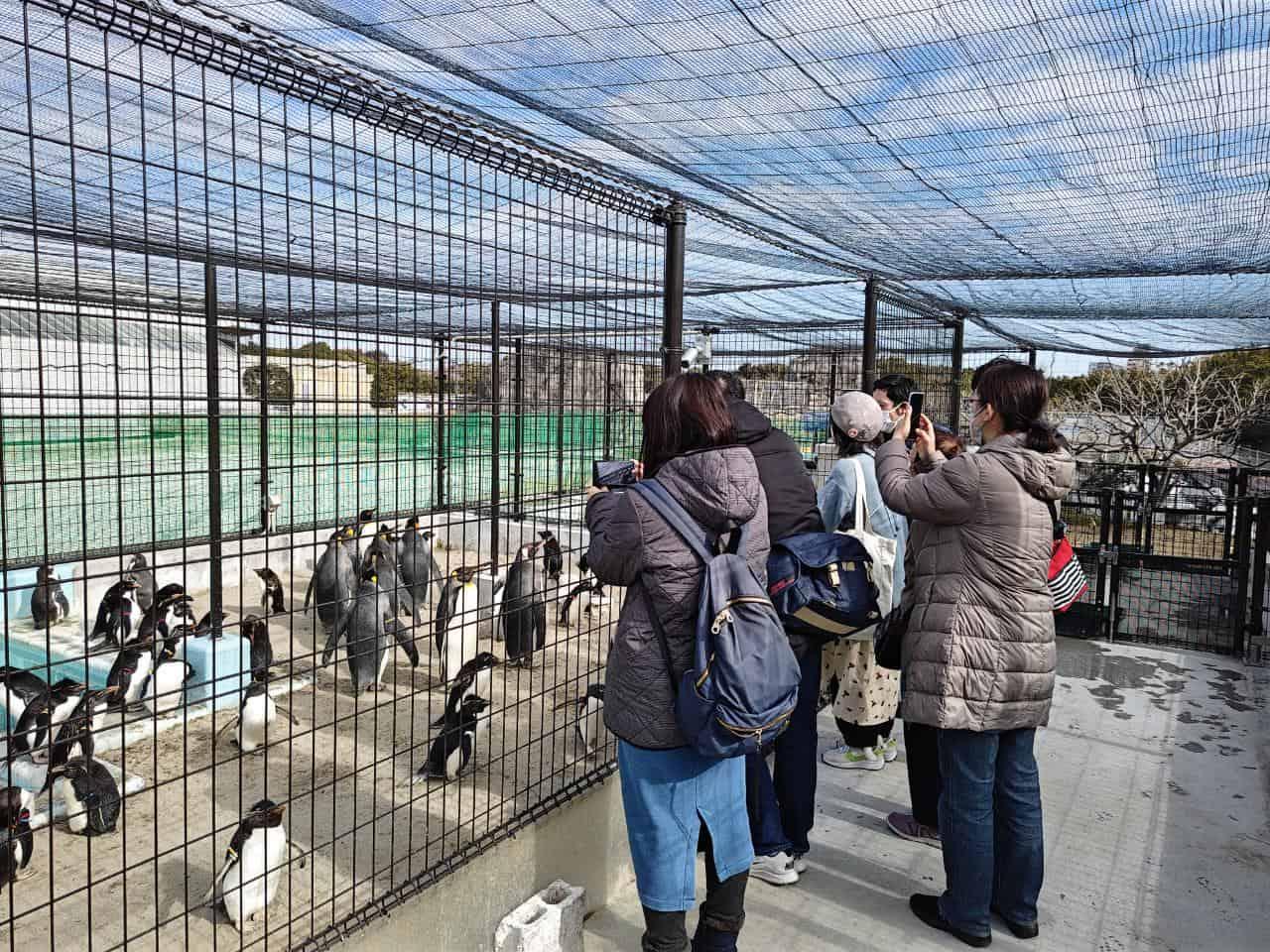 ペンギンの非公開飼育施設