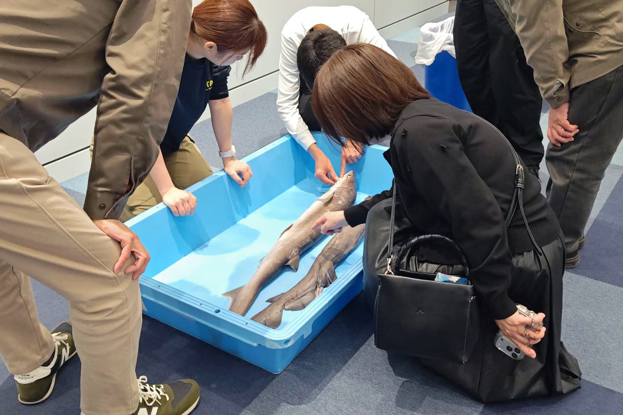スペシャルガイドツアー・ 深海生物の標本をさわってみよう