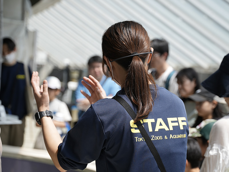 ツアーのようす