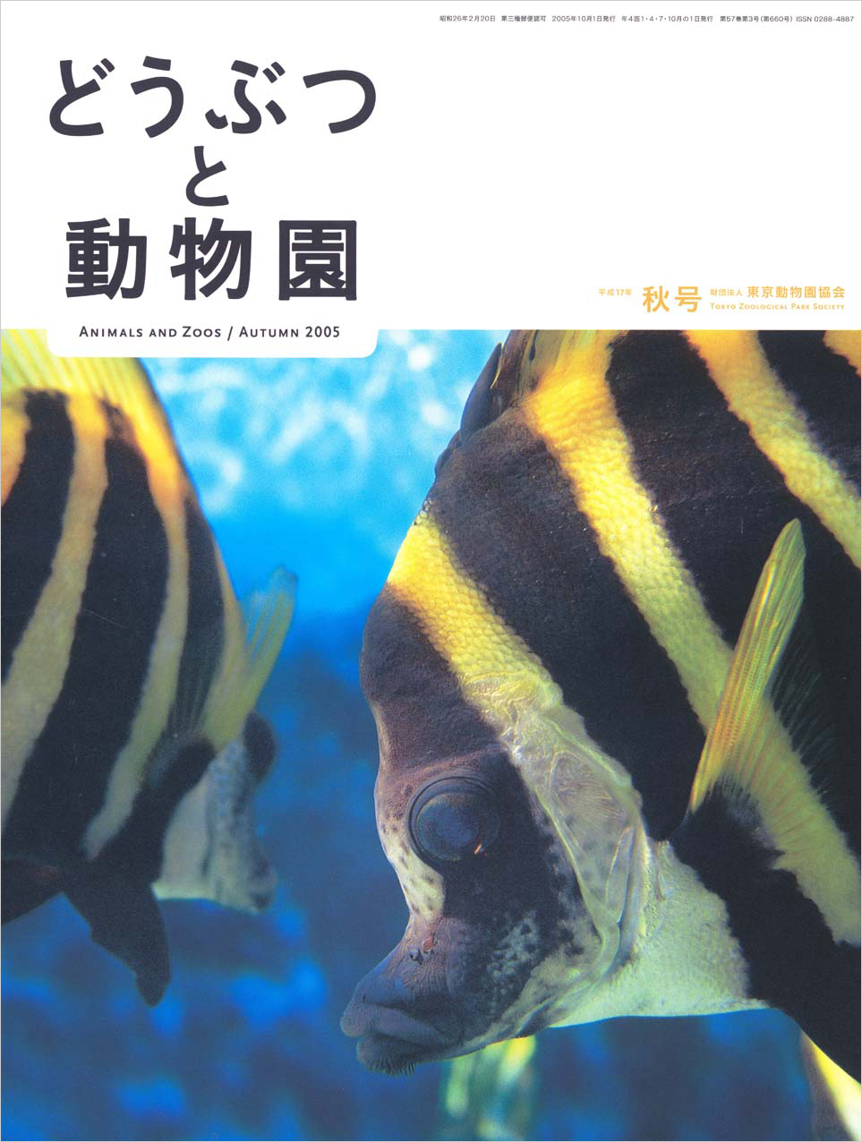 葛西臨海水族園のテングダイ