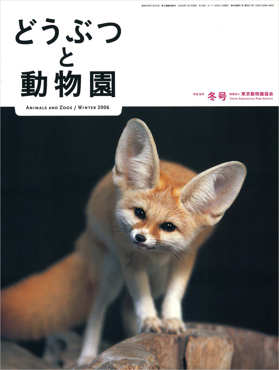 井の頭自然文化園のフェネック