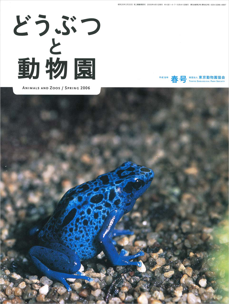 コバルトヤドクガエル