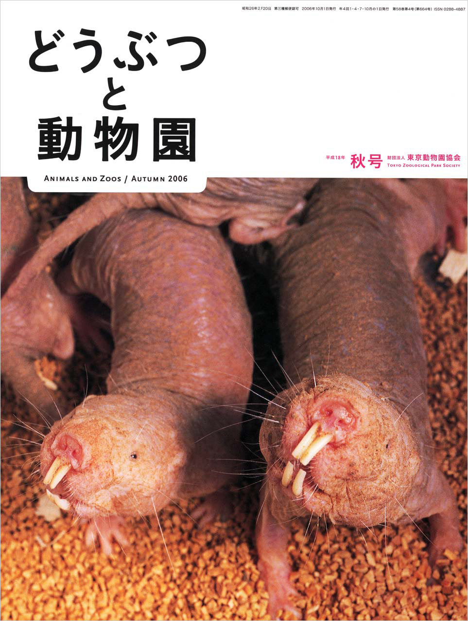 上野動物園のハダカデバネズミ