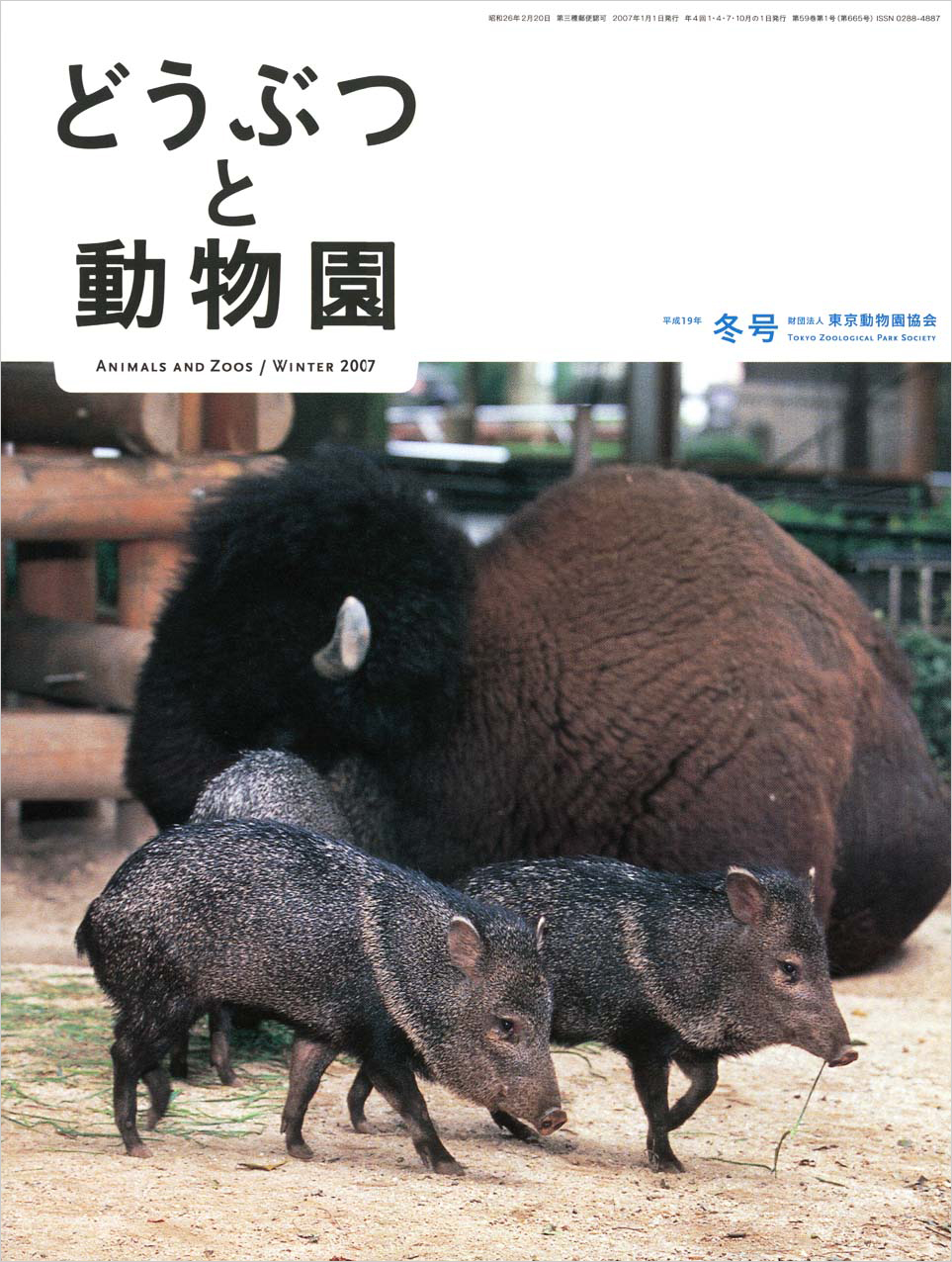 上野動物園のクビワペッカリーとアメリカバイソン