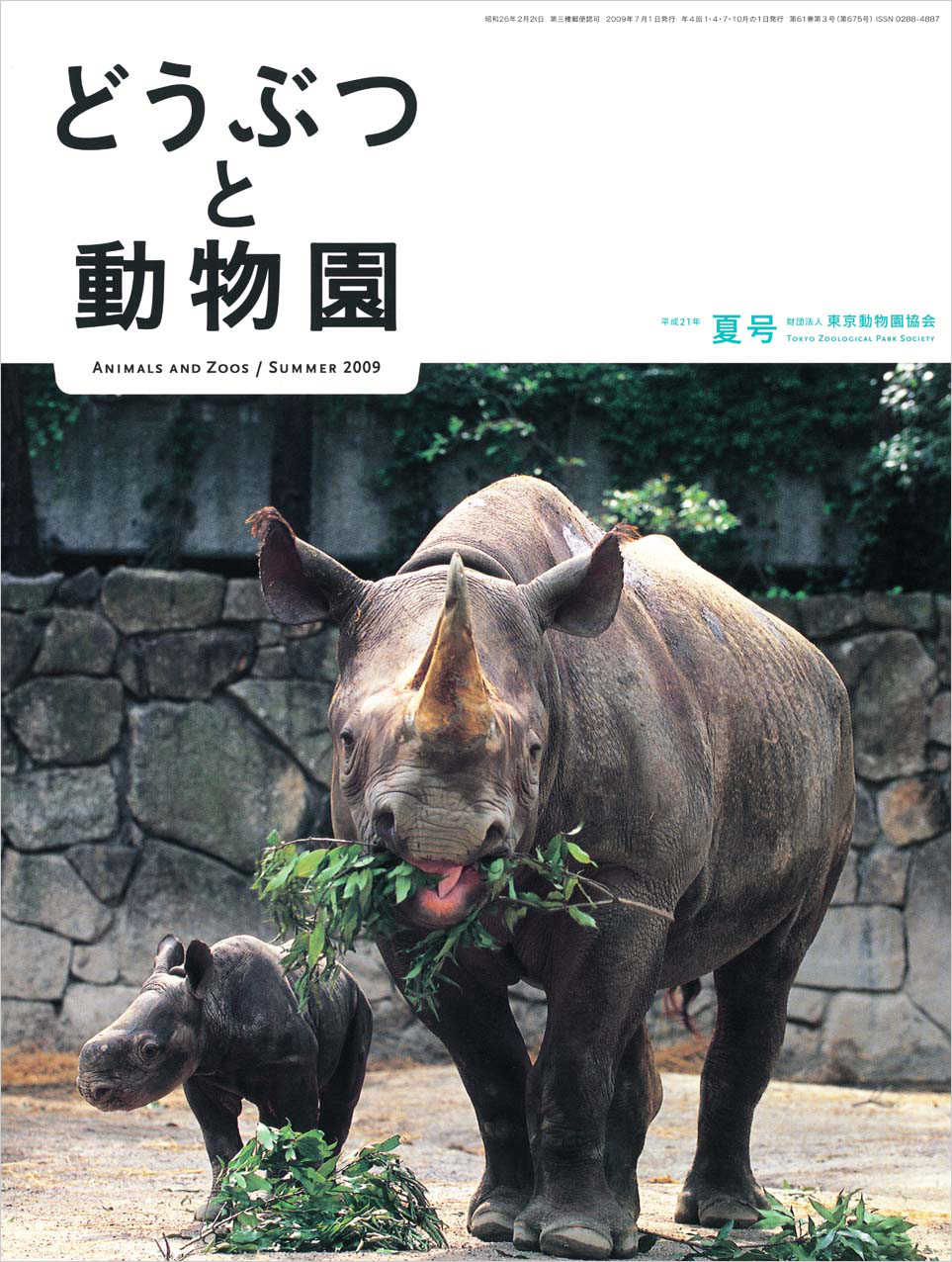 上野動物園のヒガシクロサイ