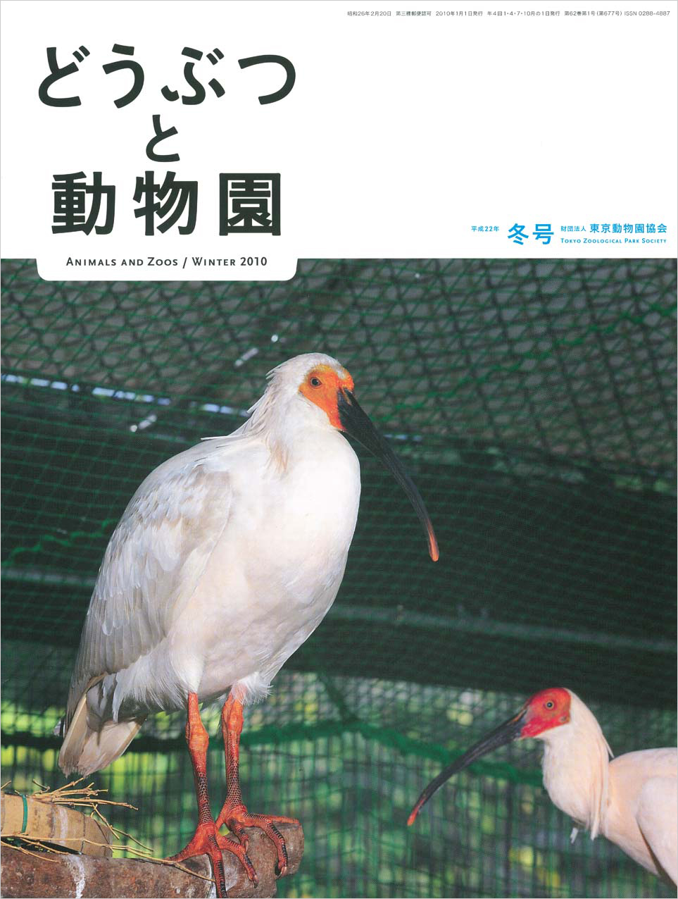 多摩動物公園のトキ