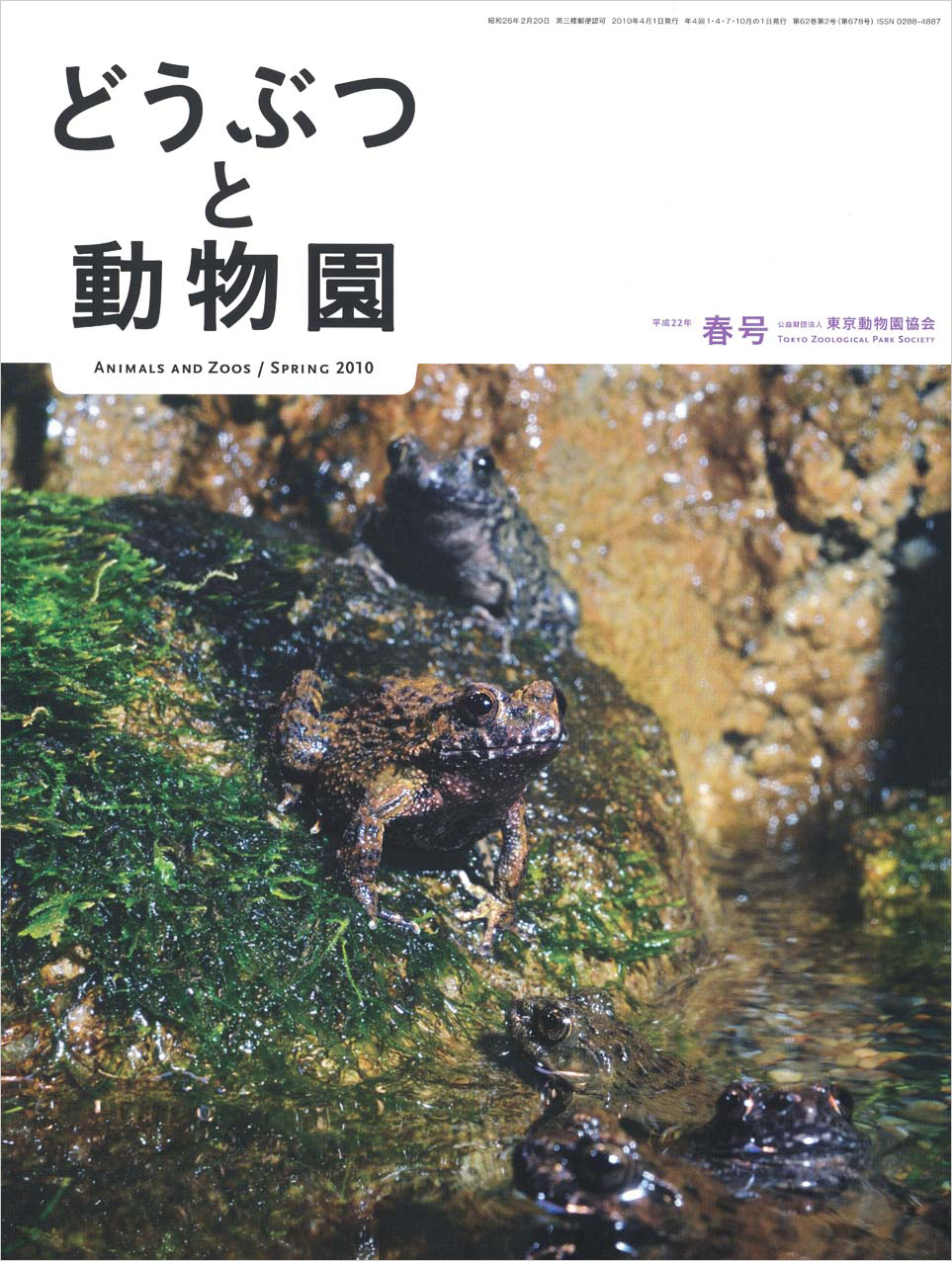 井の頭自然文化園のツチガエル
