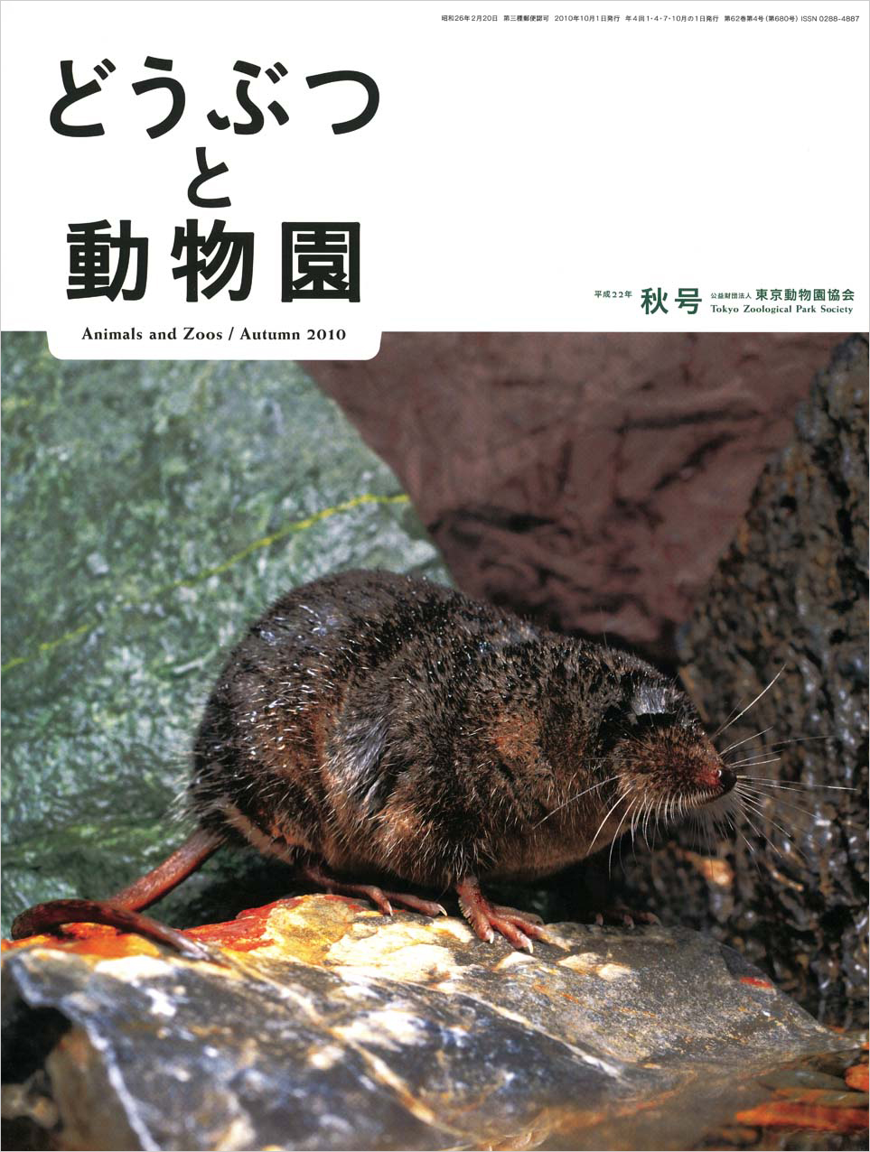 多摩動物公園のカワネズミ