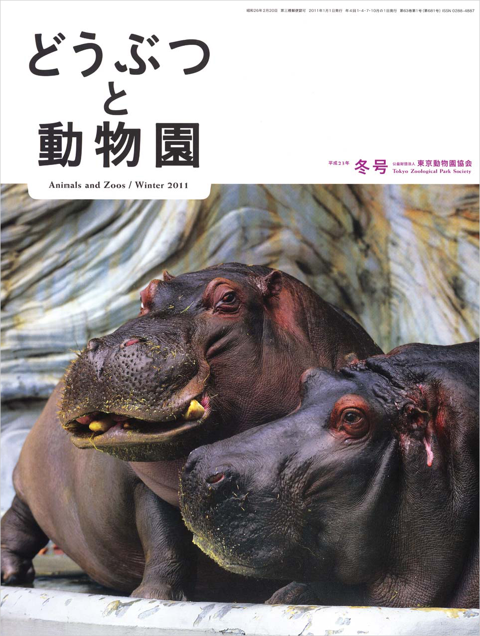 上野動物園のカバ